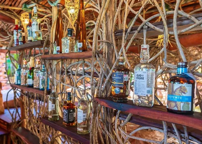 Kanan & Adults Only Playground Hotel